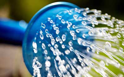 giesskanne Gießkanne: Steuern sparen mit haushaltsnahen Dienstleistungen / Foto: © T.Tulic, Fotolia