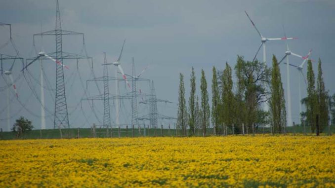windenergie-strommasten-rapsfeld Windenergie: Misswirtschaft bei geschlossenen Fonds / Foto: © Rüdiger v. Schönfels